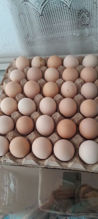В продаже куриные домашние яйца.