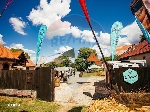 Oportunitate Business: Loturi Food Truck pe Transfăgărășan