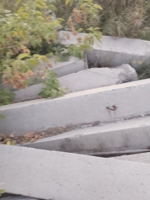 Столбы бетонные 11 штук