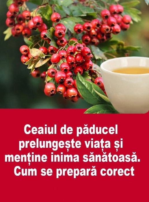 Aduc în Constanta fructe de porumbele si păducel
