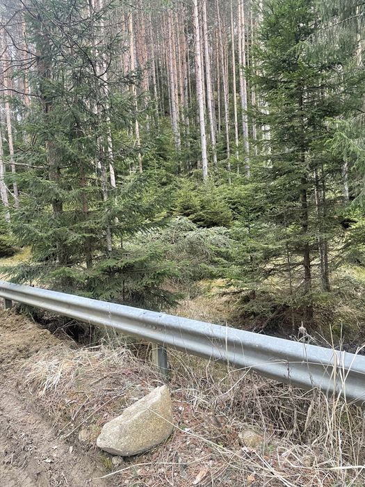 Продава се Парцел в Доспат - 996 кв.м за 56 €/кв.м - Снимка #5