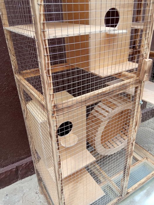 Вольер для белки , белок для размножения