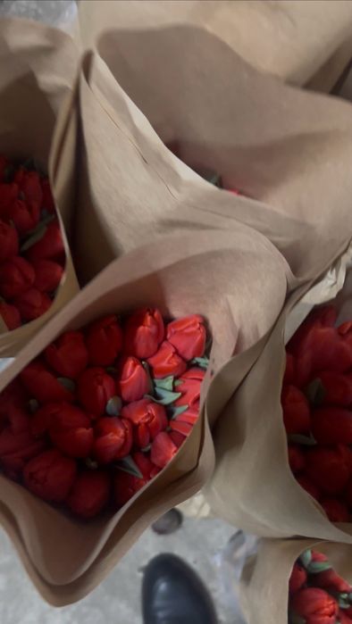 Тюльпаны Алматы 700 тг