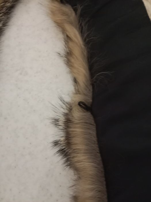 Натуральный мех на воротник