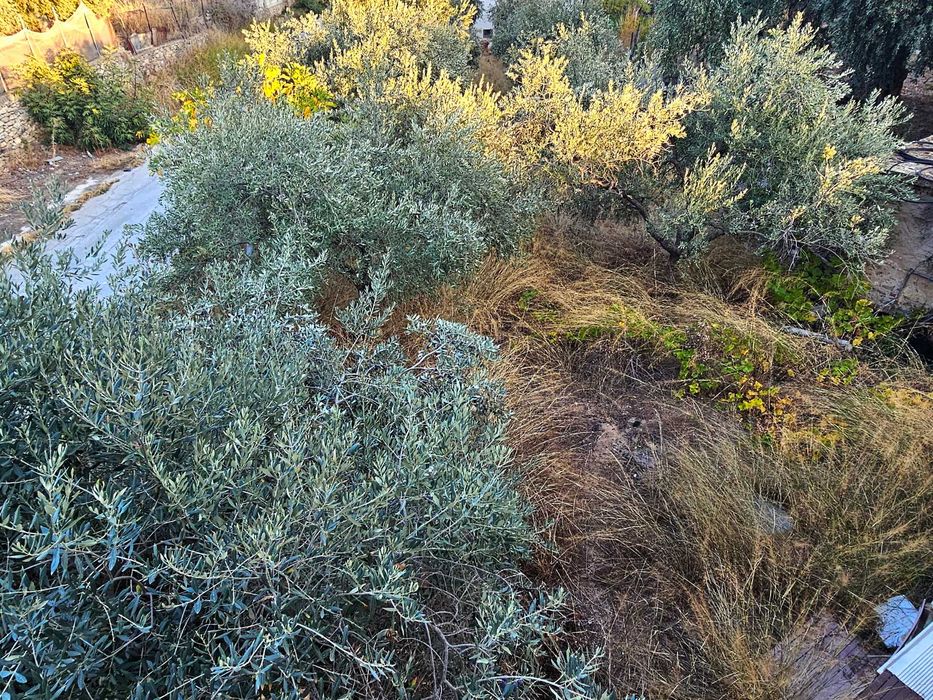 ПРОДАВА се самостоятелна къща 150 кв.м. в ELAIOCHORI Кавала (код 8105)