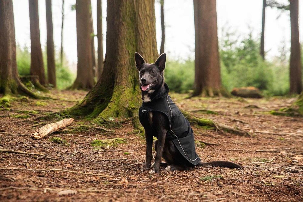 Дъждобран за кучета Mountain Paws, водоустойчив ветроустойчив,размер М