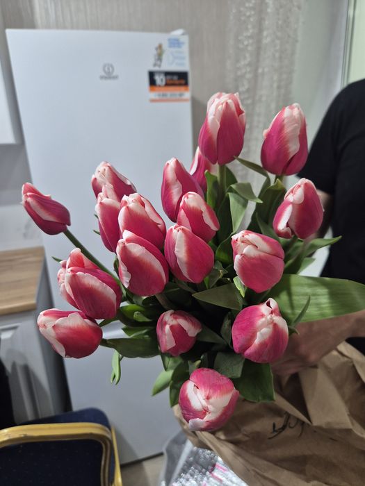 Тюльпаны свежие местные