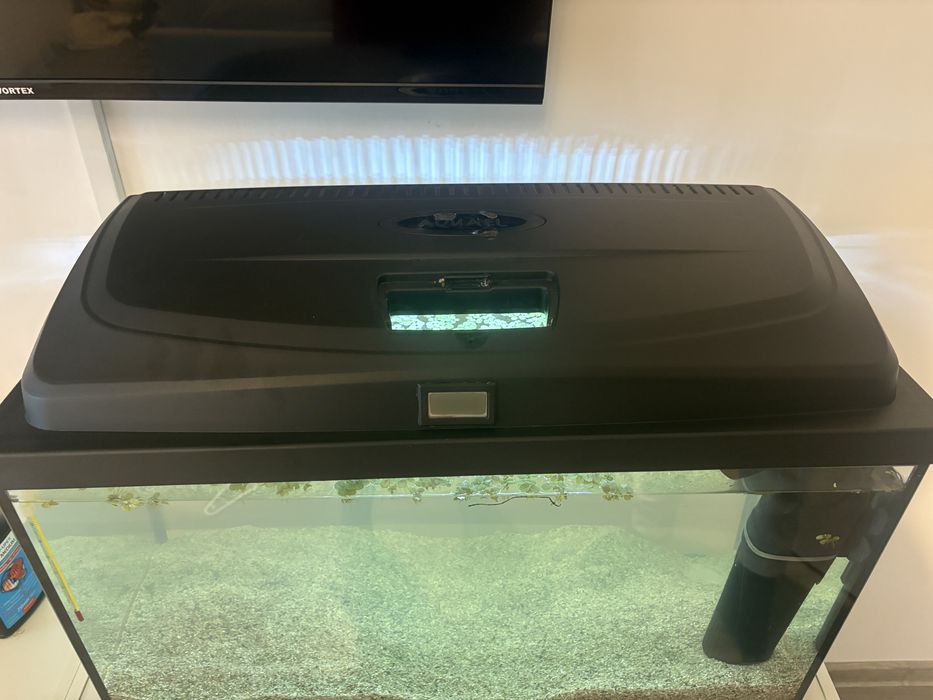 Acvariu 60 L  cu capac led