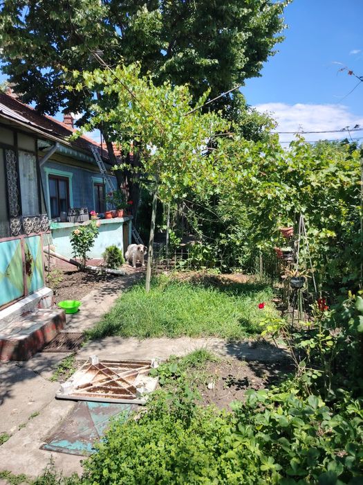 Casa Ploiesti 4 camere si teren 381 mp central