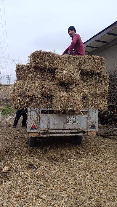 Mayin o't pres sotiladi