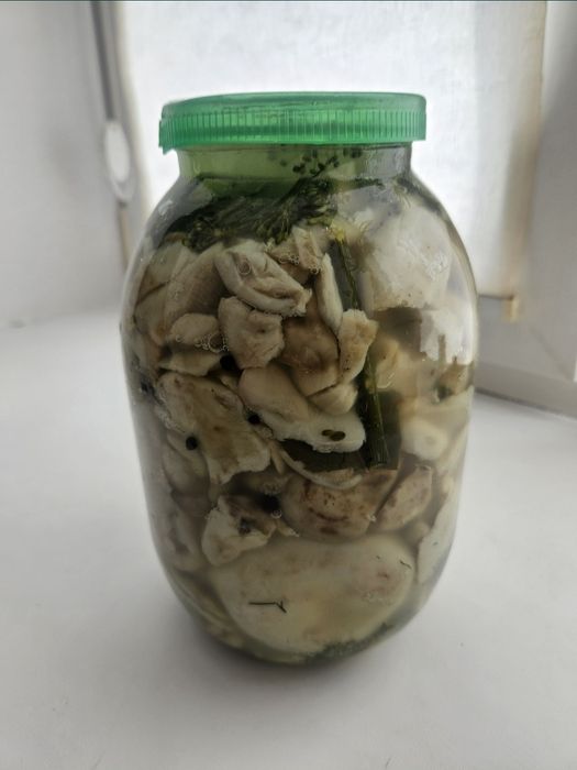 Продам  грузди, домашние.
