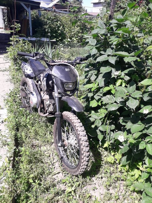 Продам мопед HONDA Dio 34 и питбайк Kayo Lite 125