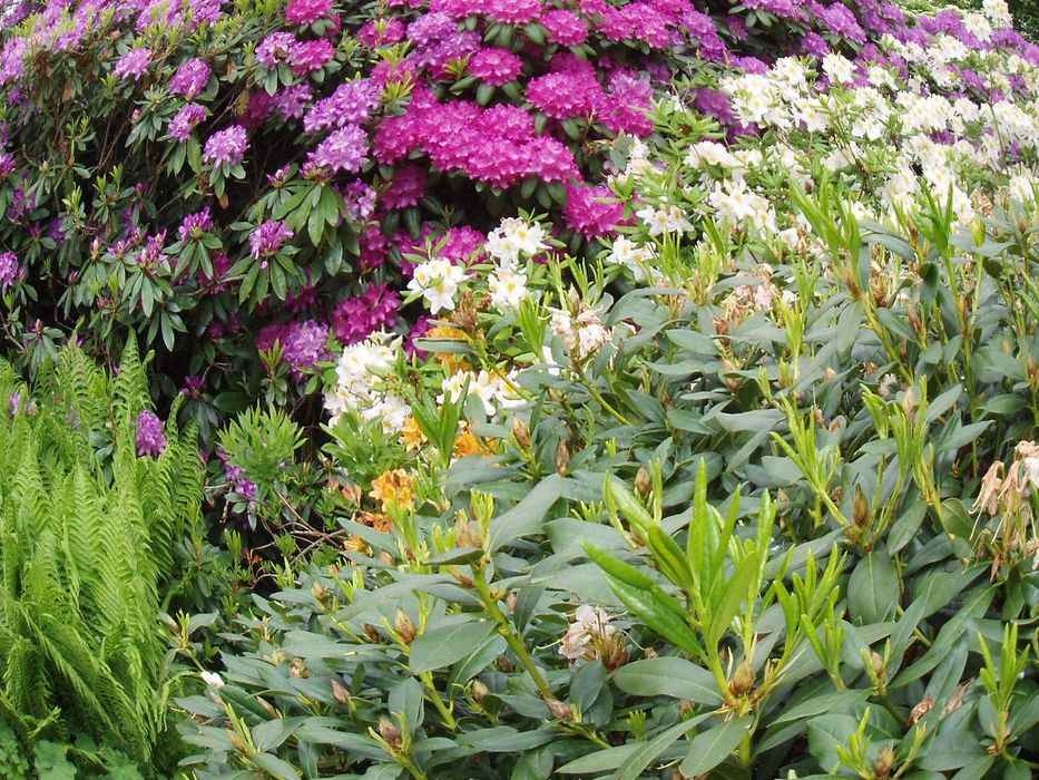 Olympus µ [mju:] Digital 500 – aparat foto digital vintage, 5MP