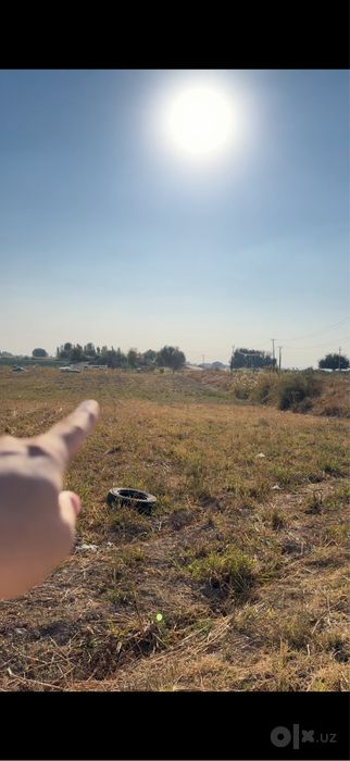 Yer arenda | Toshkent zangiota | savzavotchilik | Dehqon xo’jaligi