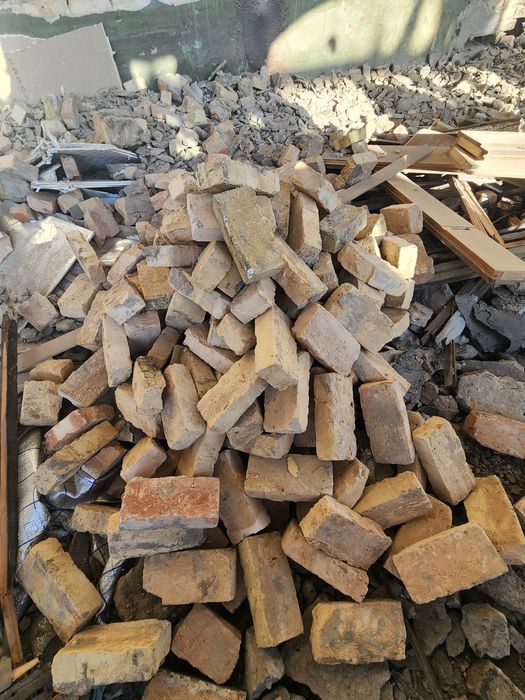 Keng dick bilan eshakda