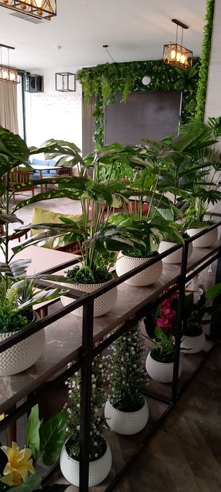 Искусственные растние. Суний гуллар. Искусственные деревья