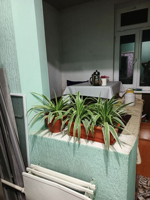 Узок муддатга ижарага берилади