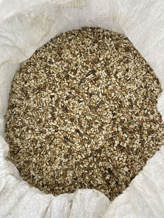 Отходы софлора.