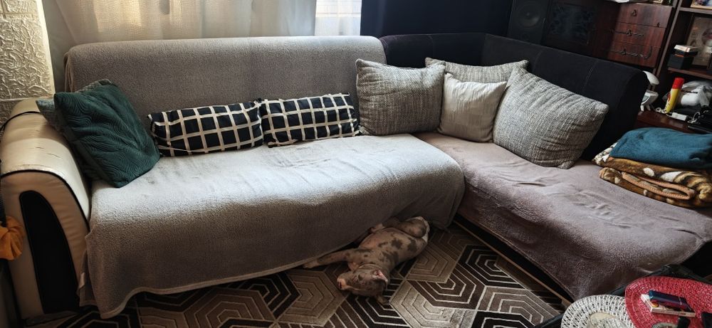 Диван ъглъв втора употреба