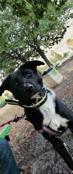 ДОМ за Миа София