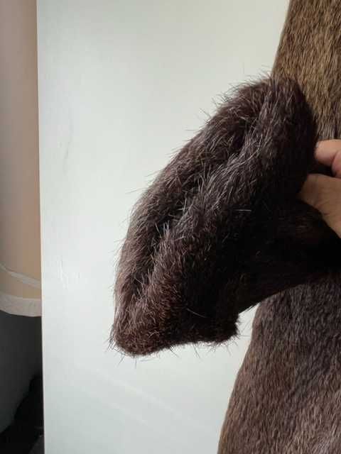 Кожено палто от нутрия