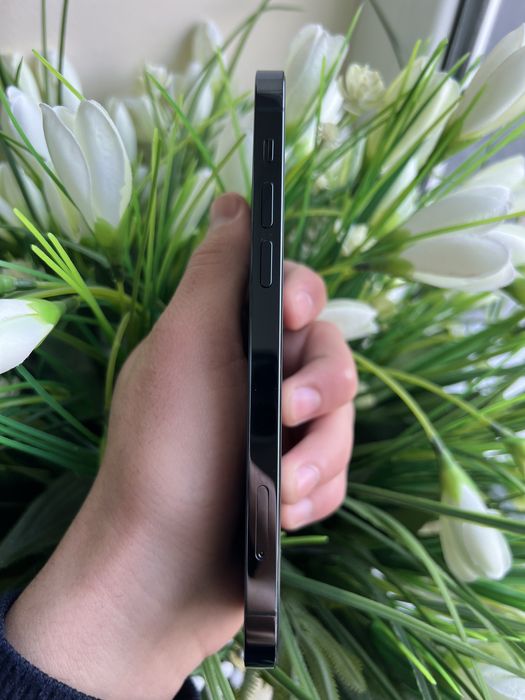 iphone 12 pro orta holar