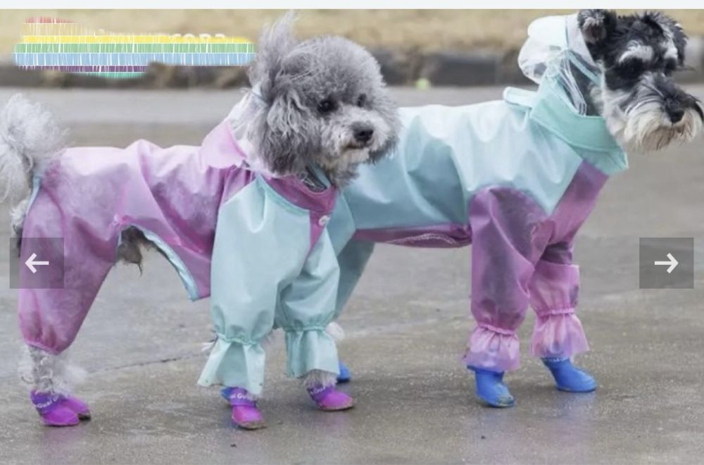 Дрехи за куче - яке, дъждобран и елек