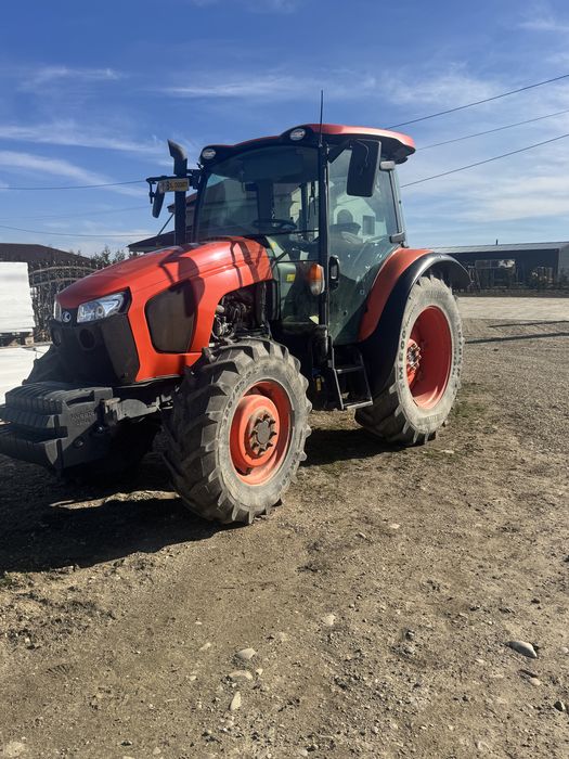 Vand sau schimb cu oi rasa țigaie ruginie / vaci bălțata românească