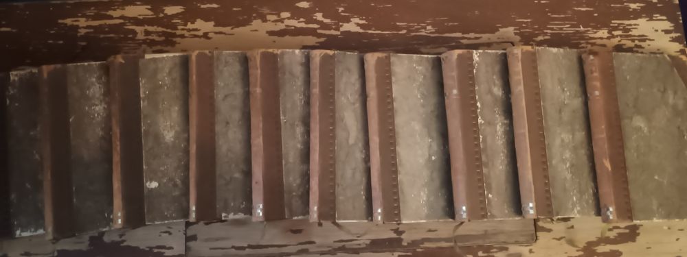 Set de 10 volume cu lucrările lui Ludwig Ganghofer