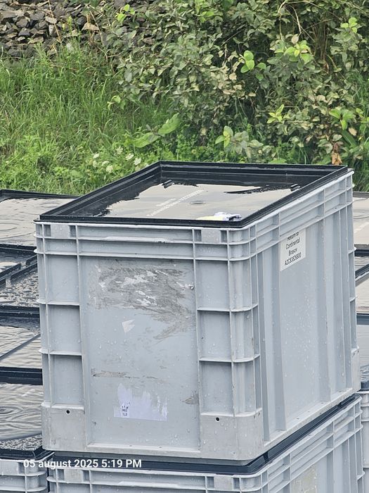 Cutie plastic depozitare piese