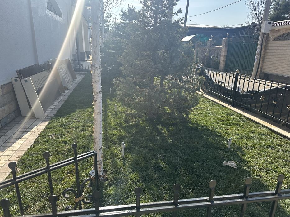 Газоны рулонные