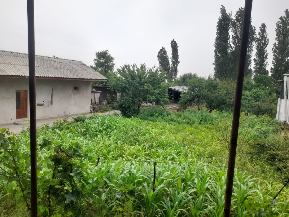 Срочно йер 10.5с таёр