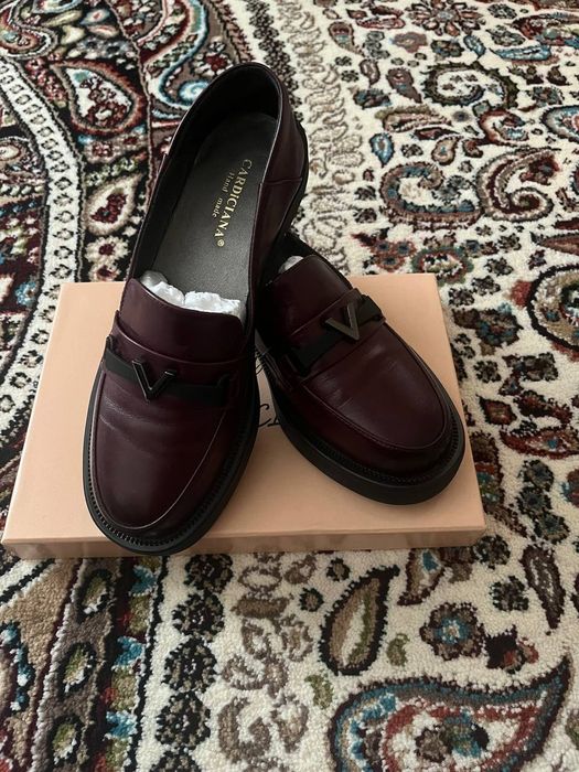 Cardicianа модел