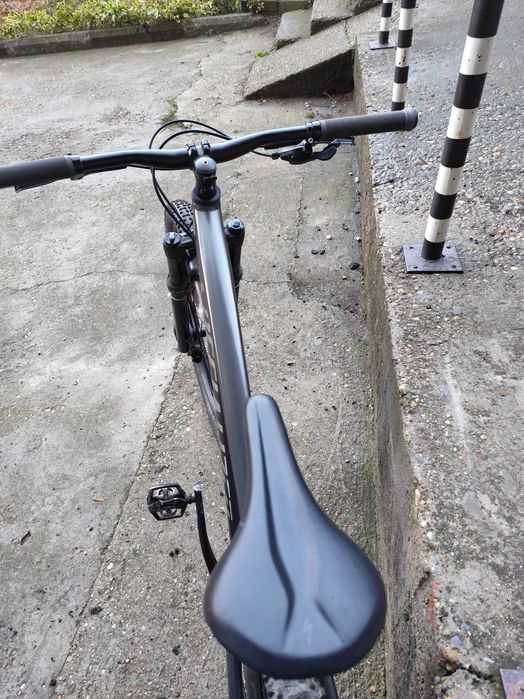 Specialized Rockhopper 29