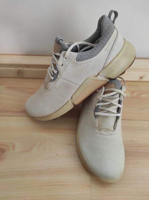 Pantofi sport barbati Ecco Biom GTX 41