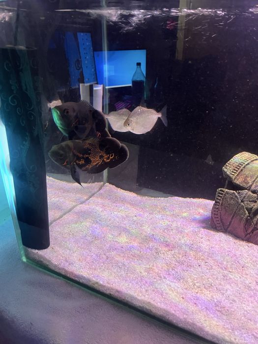 Аквариум 115 литров