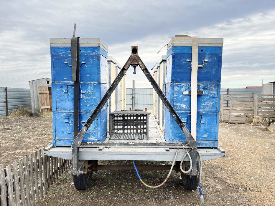 Прицеп пчеловода