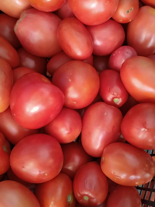 Продам домашние помидоры разных сортов