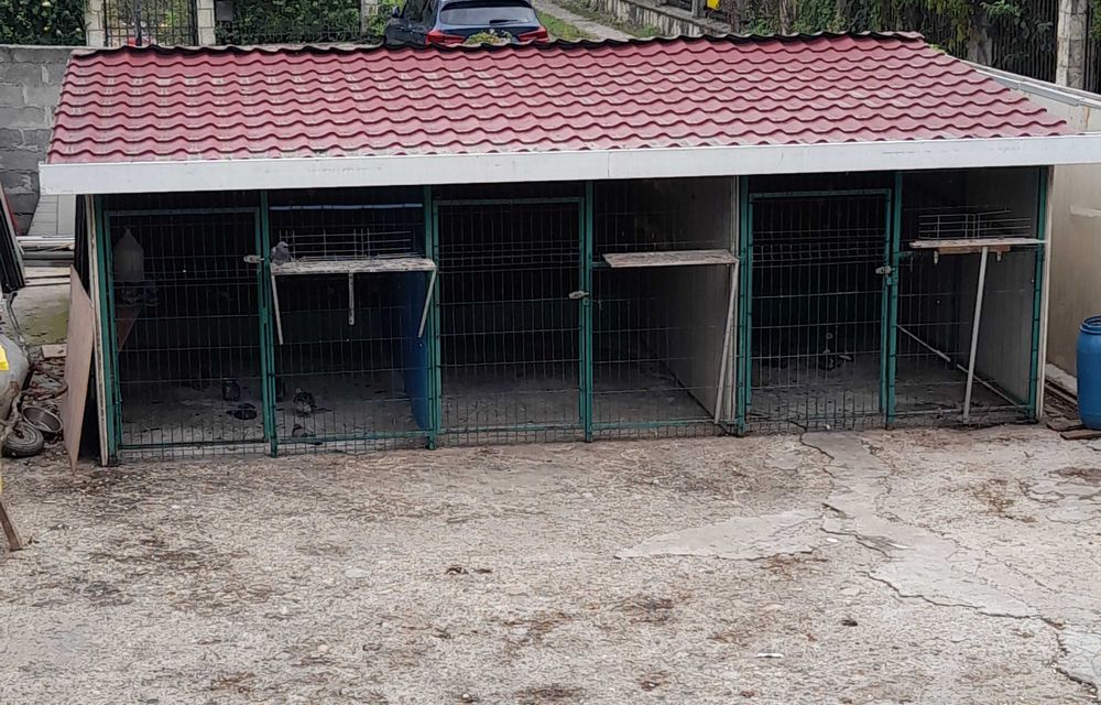 Voliera porumbei/ Padoc câini