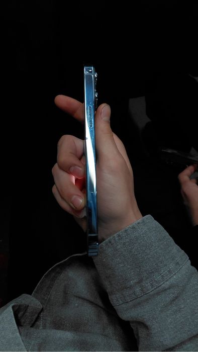 iPhone 13 pro max