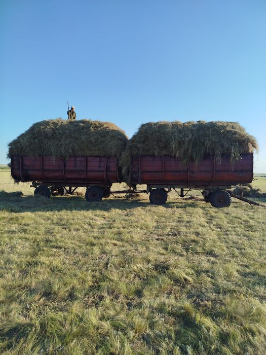 МТЗ Пресподборщик