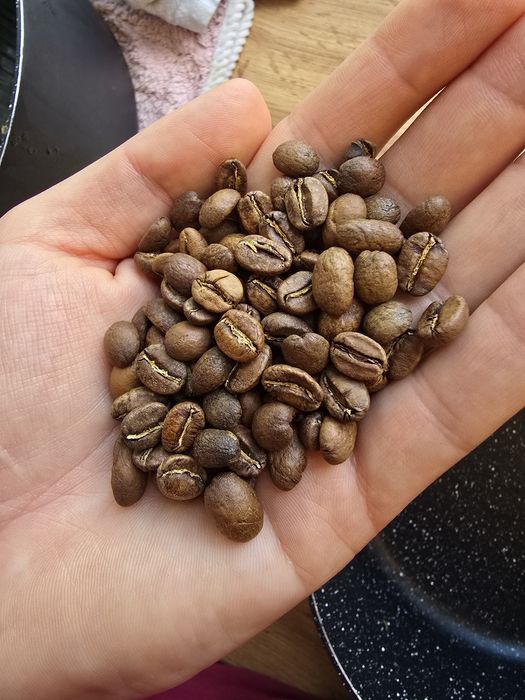 Prajitor cafea Gene Cafe CBR 101