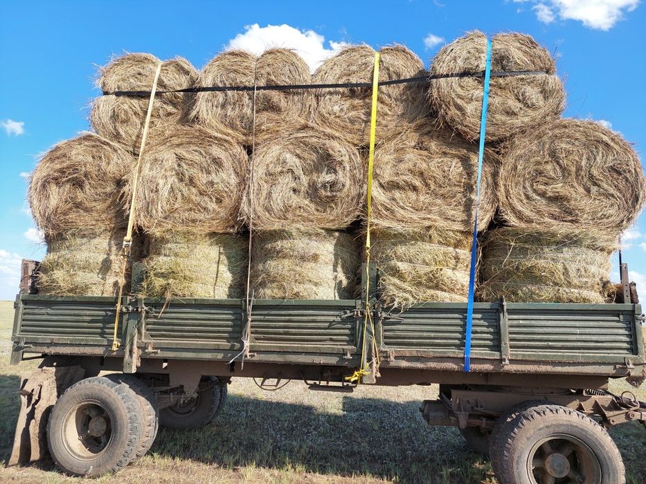 Шөп сатылады доставка +12.000