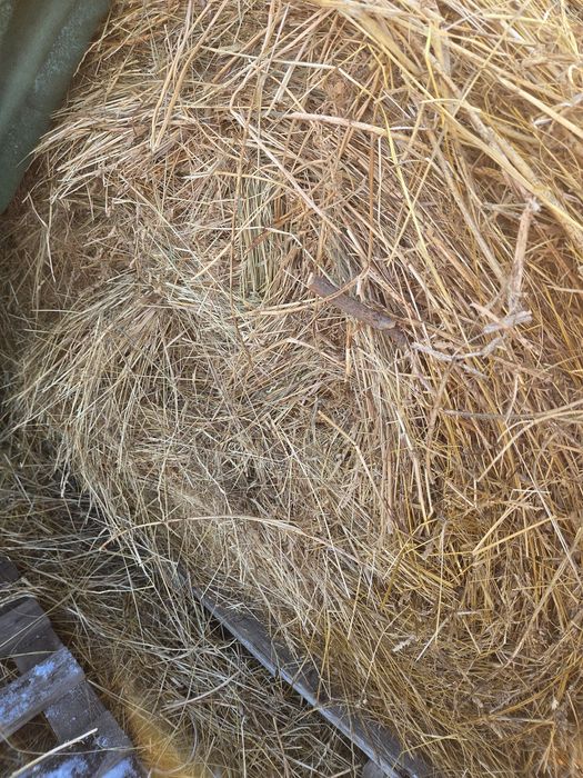 Baloti de fan si de paie 120×120