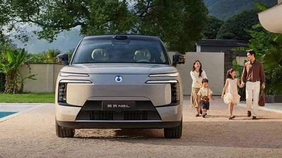 Denza N8L под заказ от Terra Auto