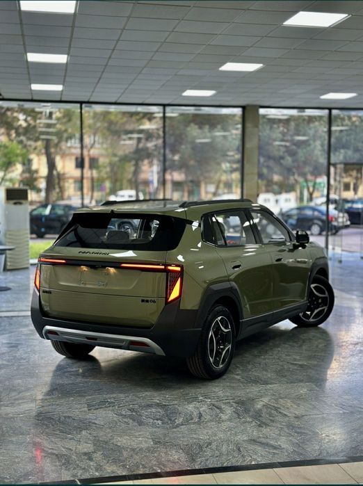 Dongfeng  2025 — 8