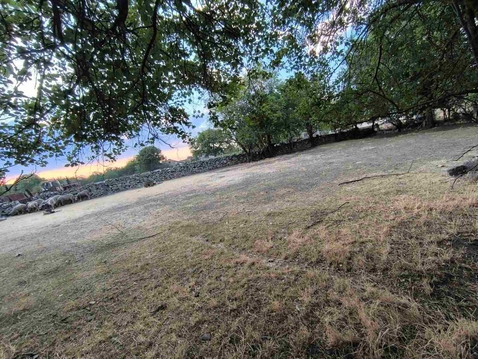 Имот в с.Стефан Караджа обл.Варна