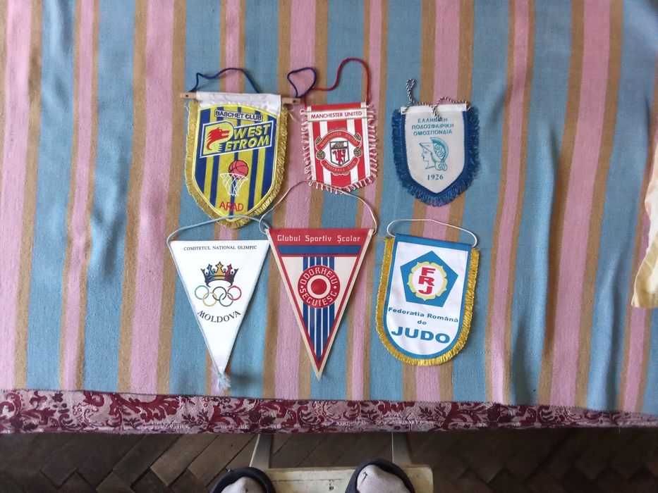 Fanioane echipe fotbal și handbal