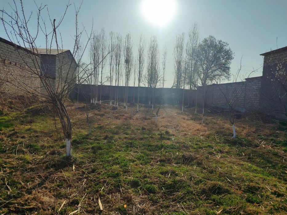 Срочно Ер сотилади 4 соток Шоликор МФЙ да булиб тулашга хам берилади