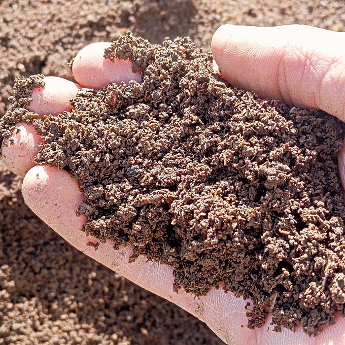 Biyogomos           .